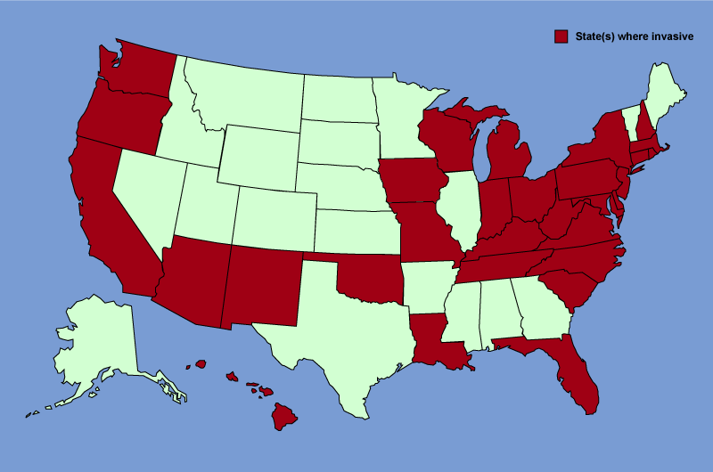 Distribution map of Ailanthus altissima
