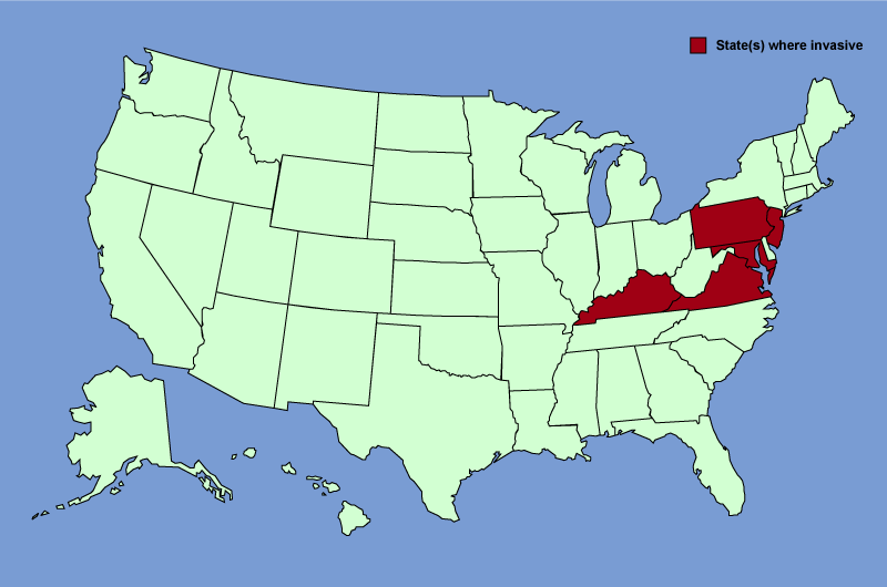 Distribution map of Akebia quinata