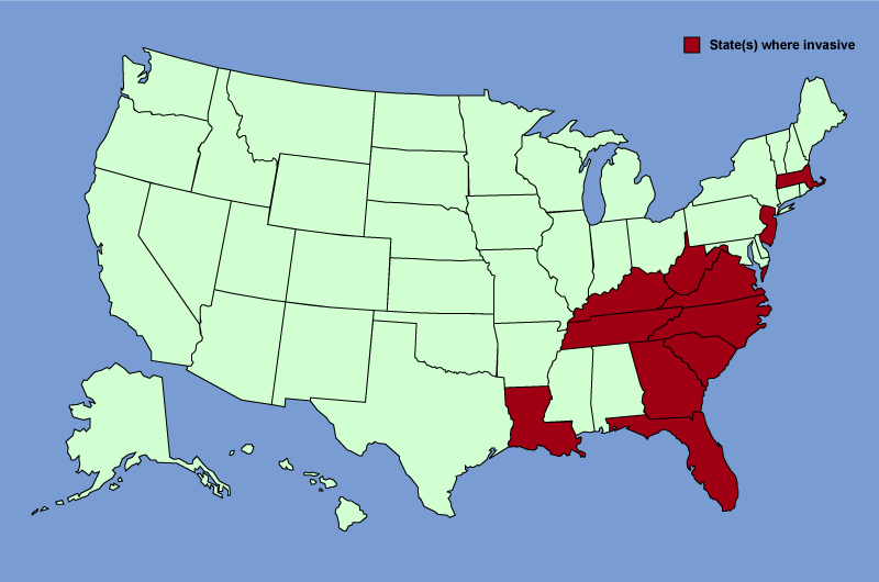Distribution map of Albizia julibrissin