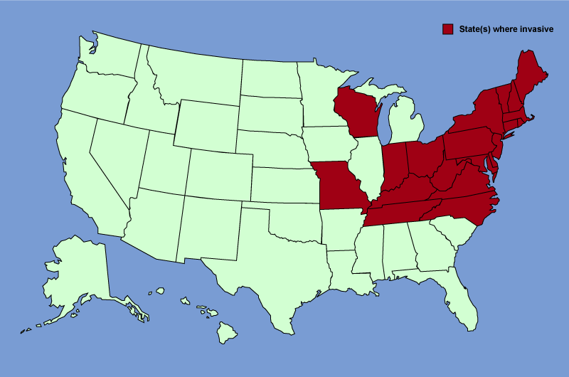 Distribution map of Berberis thunbergii