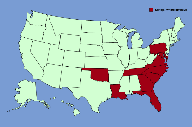 Distribution map of Broussonetia papyrifera