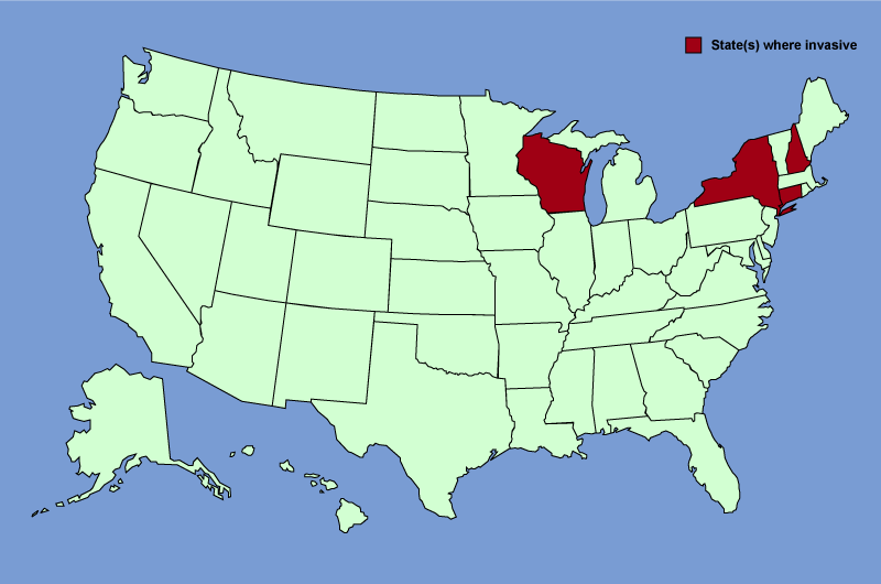 Distribution map of Cynanchum louiseae