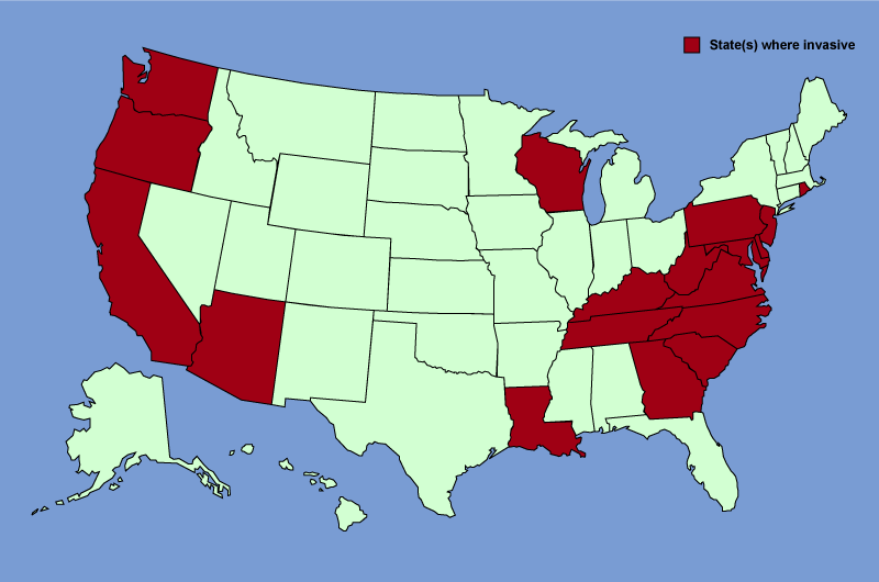 Distribution map of Hedera helix