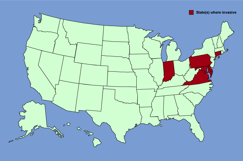 Distribution map of Humulus japonicus