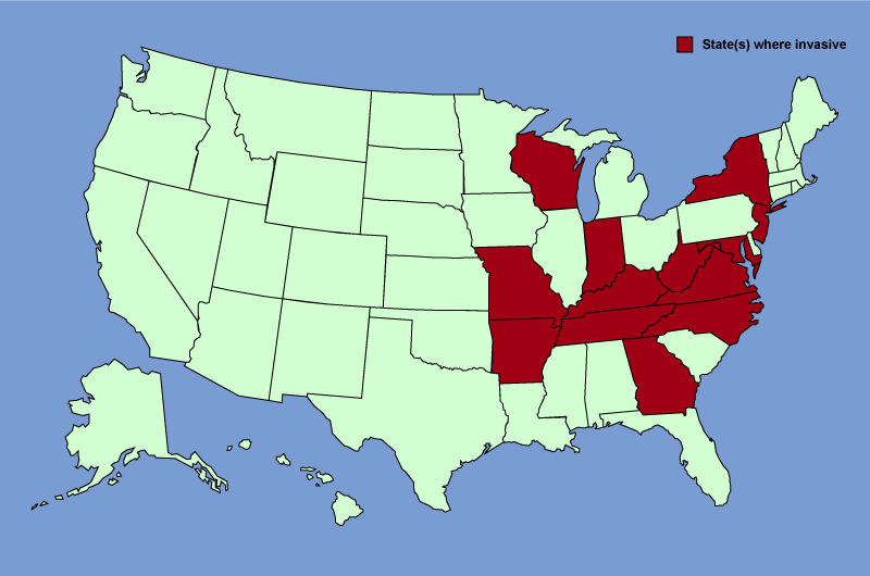 Distribution map of Lespedeza cuneata