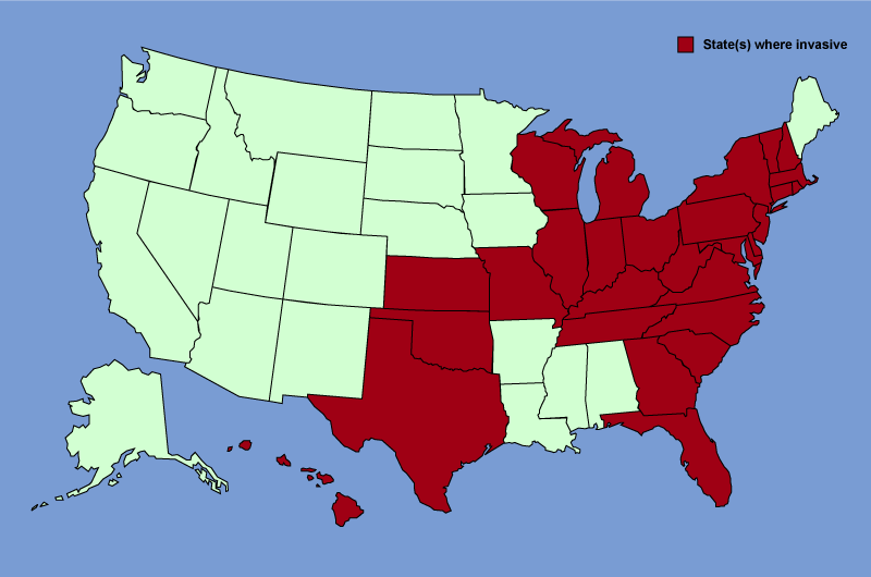 Distribution map of Lonicera japonica