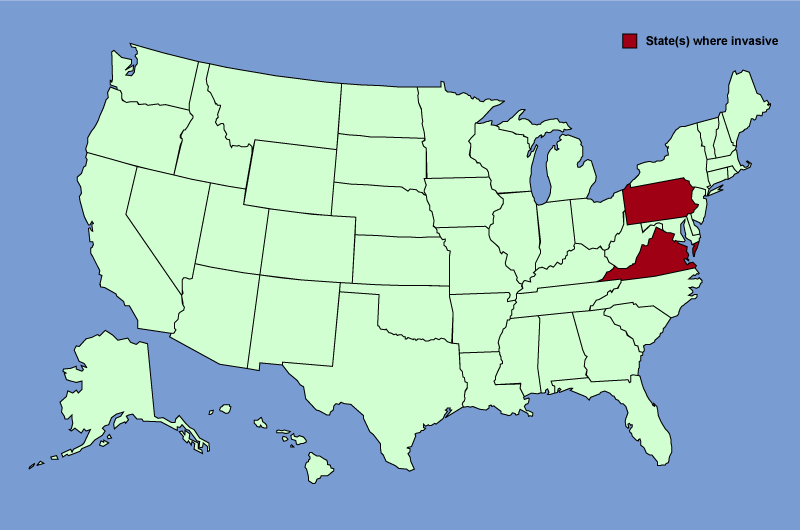 Distribution map of Lonicera standishii