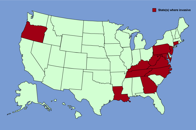 Distribution map of Paulownia tomentosa