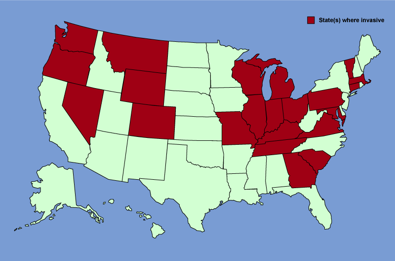 Distribution map of Populus alba