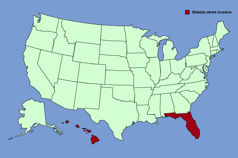 Distribution map of Psidium cattleianum