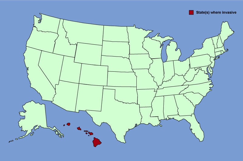 Distribution map of Rubus ellipticus