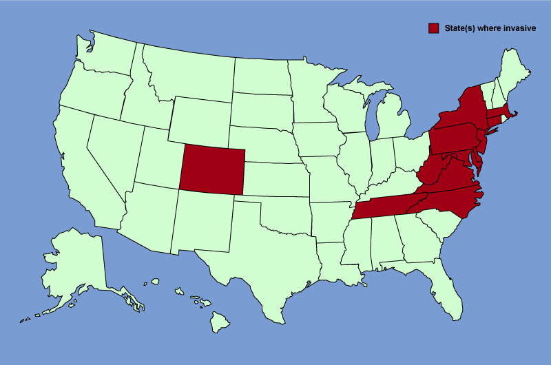 Distribution map of Rubus phoenicolasius