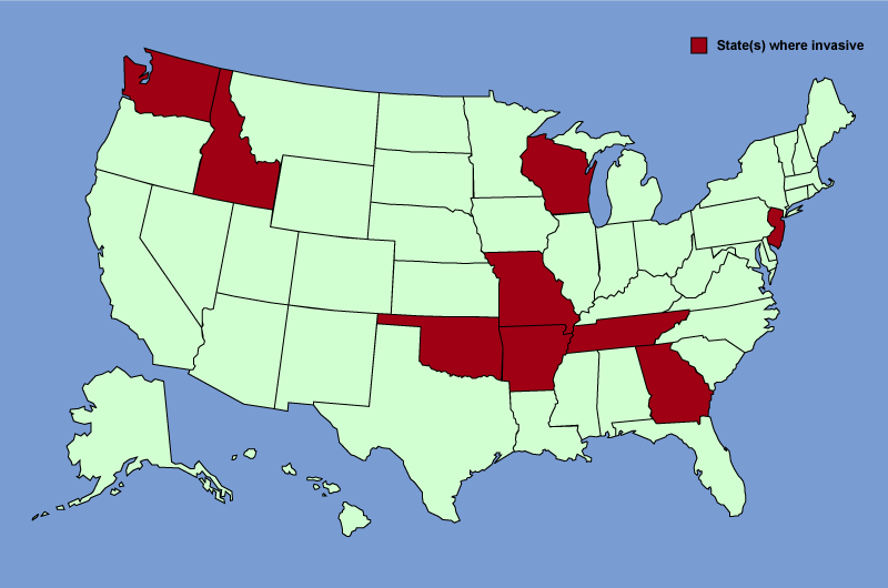 Distribution map of Lolium arundinaceum