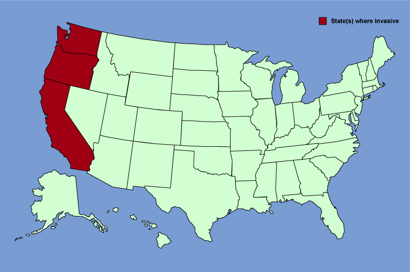 Distribution map of Spartina alterniflora