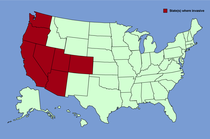 Distribution map of Tamarix chinensis