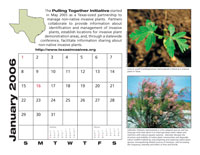 January 2006 calendar sample