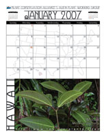 January 2007 calendar sample