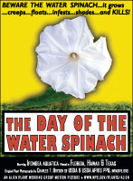 Water spinach picture