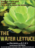 Water lettuce picture