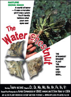 Water chestnut picture