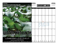 January 2008 calendar sample