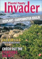 Iceplant picture