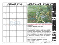 January 2010 calendar sample