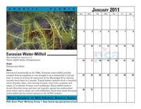 January 2011 calendar sample