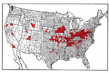Figure 2. Map of the known distribution of Rose Rosette Disease in the USA; Virginia data from A. Boudoin (2002), J. Amrine, and A. Peck (2002); Maryland data from Tipping & Sindermann (2000), and J. Amrine; data for North Carolina, South Carolina and Georgia from A. Peck (2002).