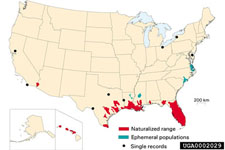 Figure 3. The distribution of waterlettuce, Pistia stratiotes L., in drainage basins (USGS Hydrologic Unit 8) in the United States (data from USGA, 2001).
