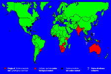 Map 1. Countries where Salvinia molesta has been or is still a serious problem and countries where biological control by the weevil Cytrobagous salviniae has been successful.