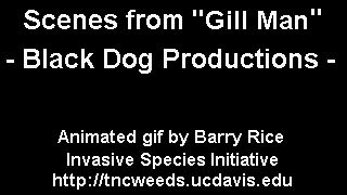 gill man video