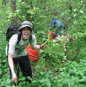 Green Earth Inc. Garlic Mustard Pull - May 1st