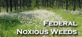 Federal Noxious Weeds