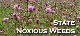 State Noxious Weeds