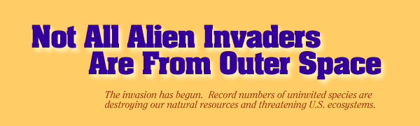 Not All Alien Invaders Are From Outer Space. The invasion has begun. Record numbers of ininvited species are destroying our natural resources and threatening U.S. ecosystems.