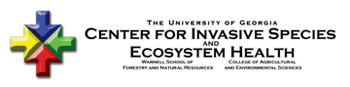center logo